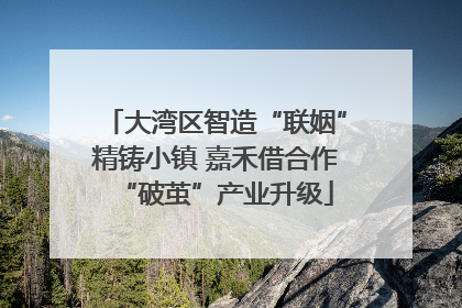 大湾区智造“联姻”精铸小镇 嘉禾借合作“破茧”产业升级