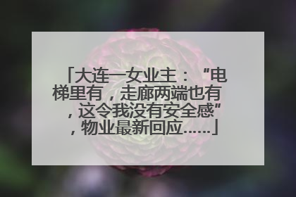 大连一女业主：“电梯里有，走廊两端也有，这令我没有安全感”，物业最新回应……