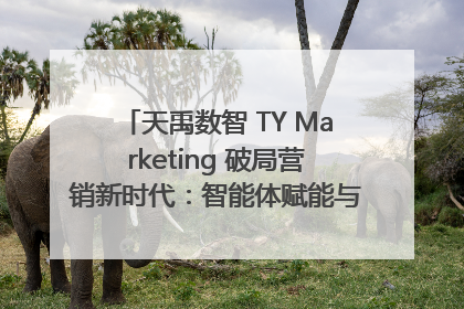 天禹数智 TY Marketing 破局营销新时代：智能体赋能与人才培育双轮驱动
