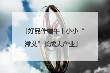 好品伴端午丨小小“潍艾”长成大产业