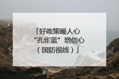 好政策暖人心 “孔雀蓝”增信心（国防视线）