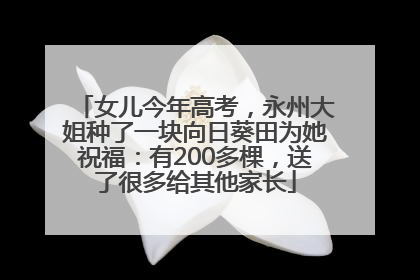 女儿今年高考，永州大姐种了一块向日葵田为她祝福：有200多棵，送了很多给其他家长