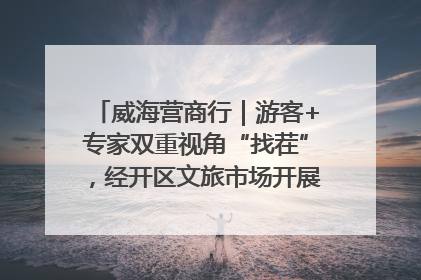 威海营商行｜游客+专家双重视角“找茬”，经开区文旅市场开展暑期前“体检”