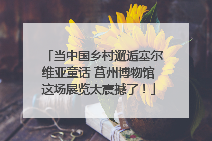 当中国乡村邂逅塞尔维亚童话 莒州博物馆这场展览太震撼了！