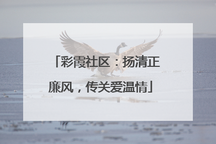 彩霞社区：扬清正廉风，传关爱温情