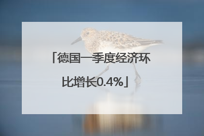 德国一季度经济环比增长0.4%