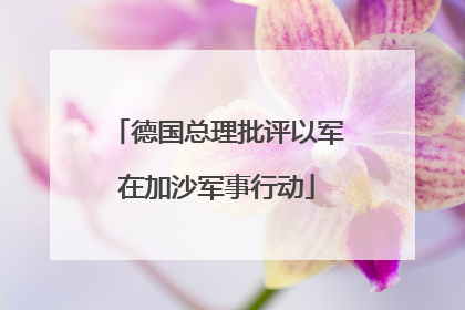 德国总理批评以军在加沙军事行动