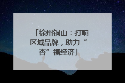 徐州铜山：打响区域品牌，助力“杏”福经济