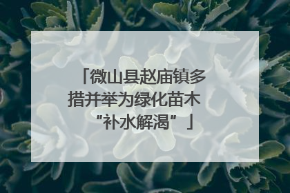 微山县赵庙镇多措并举为绿化苗木“补水解渴”