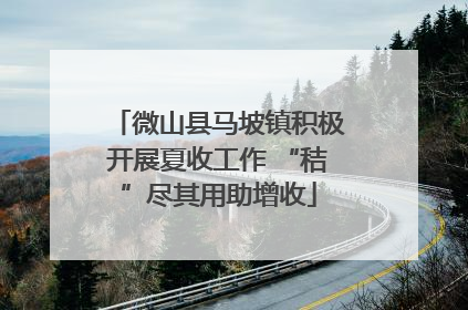 微山县马坡镇积极开展夏收工作 “秸”尽其用助增收