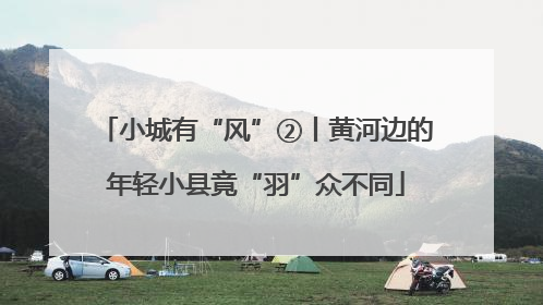 小城有“风”②丨黄河边的年轻小县竟“羽”众不同