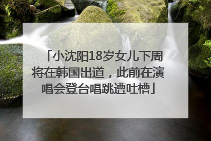 小沈阳18岁女儿下周将在韩国出道，此前在演唱会登台唱跳遭吐槽