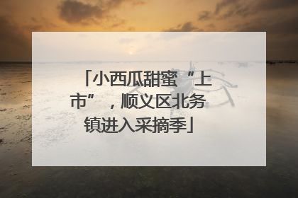 小西瓜甜蜜“上市”，顺义区北务镇进入采摘季