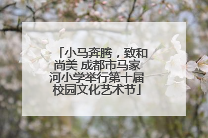小马奔腾，致和尚美 成都市马家河小学举行第十届校园文化艺术节