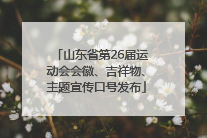 山东省第26届运动会会徽、吉祥物、主题宣传口号发布