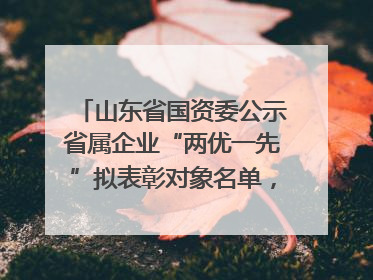 山东省国资委公示省属企业“两优一先”拟表彰对象名单，共250名（个）党员和党组织
