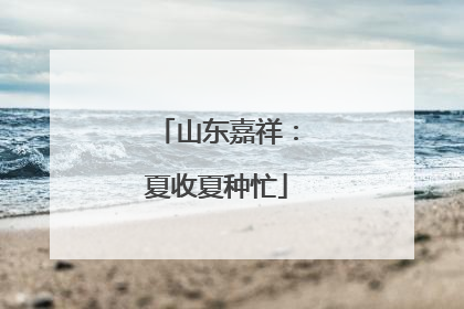 山东嘉祥：夏收夏种忙