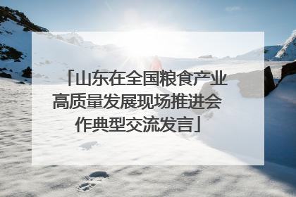山东在全国粮食产业高质量发展现场推进会作典型交流发言