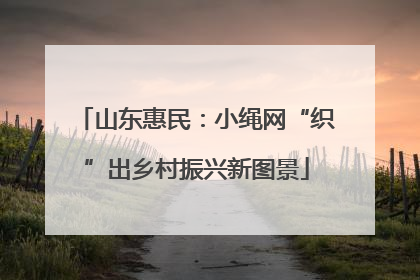 山东惠民：小绳网“织”出乡村振兴新图景