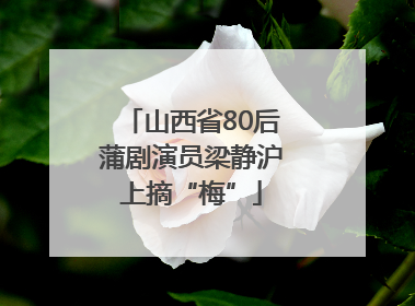 山西省80后蒲剧演员梁静沪上摘“梅”