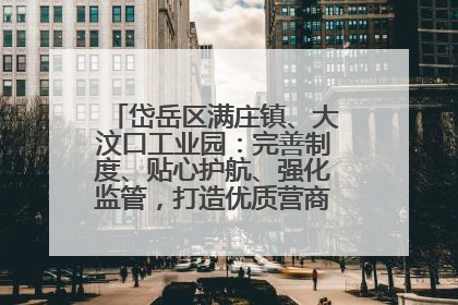 岱岳区满庄镇、大汶口工业园：完善制度、贴心护航、强化监管，打造优质营商“强磁场”