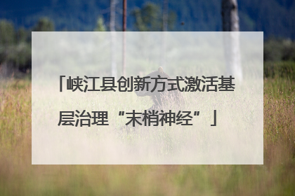 峡江县创新方式激活基层治理“末梢神经”