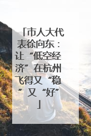 市人大代表徐向东：让“低空经济”在杭州飞得又“稳”又“好”