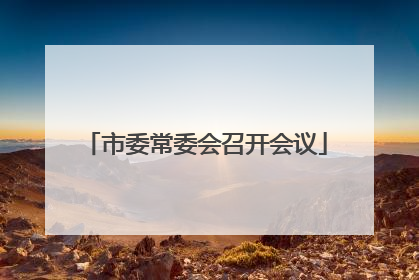 市委常委会召开会议