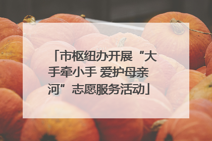 市枢纽办开展“大手牵小手 爱护母亲河”志愿服务活动