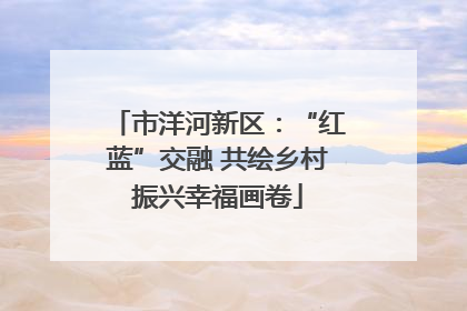 市洋河新区：“红蓝”交融 共绘乡村振兴幸福画卷