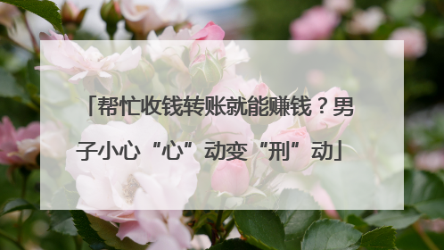 帮忙收钱转账就能赚钱？男子小心“心”动变“刑”动