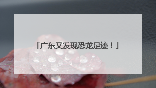 广东又发现恐龙足迹！
