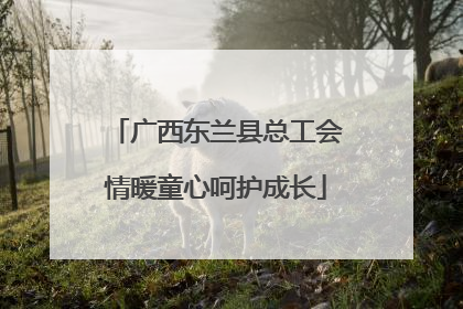 广西东兰县总工会情暖童心呵护成长
