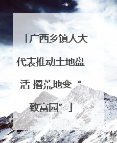 广西乡镇人大代表推动土地盘活 撂荒地变“致富园”