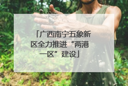 广西南宁五象新区全力推进“两港一区”建设