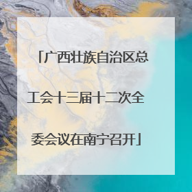 广西壮族自治区总工会十三届十二次全委会议在南宁召开