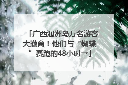 广西涠洲岛万名游客大撤离！他们与“蝴蝶”赛跑的48小时→