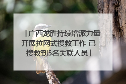 广西龙胜持续增派力量开展拉网式搜救工作 已搜救到5名失联人员