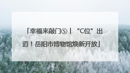 幸福来敲门⑤丨“C位”出道！岳阳市博物馆焕新开放