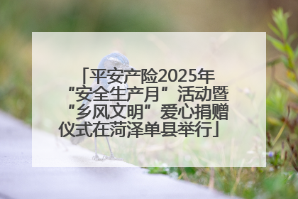 平安产险2025年“安全生产月”活动暨“乡风文明”爱心捐赠仪式在菏泽单县举行