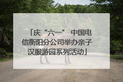庆“六一” 中国电信衡阳分公司举办亲子汉服游园系列活动