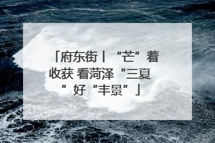 府东街丨“芒”着收获 看菏泽“三夏”好“丰景”