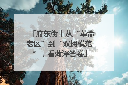 府东街丨从“革命老区”到“双拥模范”，看菏泽答卷