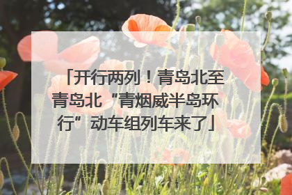 开行两列！青岛北至青岛北“青烟威半岛环行”动车组列车来了