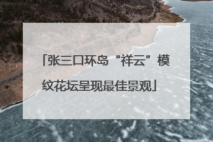 张三口环岛“祥云”模纹花坛呈现最佳景观