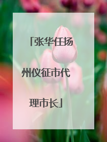 张华任扬州仪征市代理市长