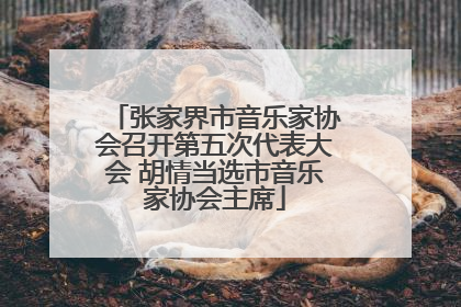 张家界市音乐家协会召开第五次代表大会 胡情当选市音乐家协会主席