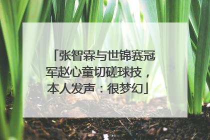 张智霖与世锦赛冠军赵心童切磋球技，本人发声：很梦幻