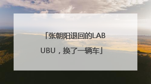 张朝阳退回的LABUBU，换了一辆车