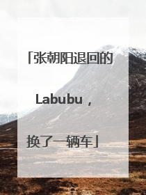 张朝阳退回的Labubu，换了一辆车